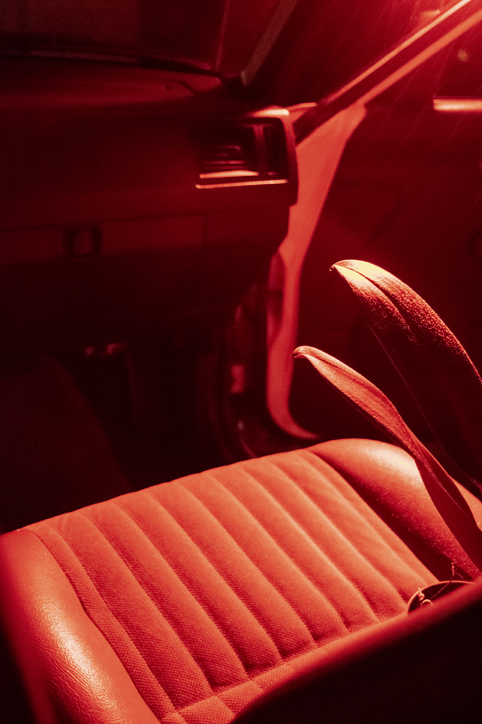 rest well friend 2 (shadowfax)