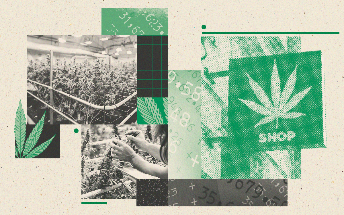 Dispensary, cannabis growing facilities