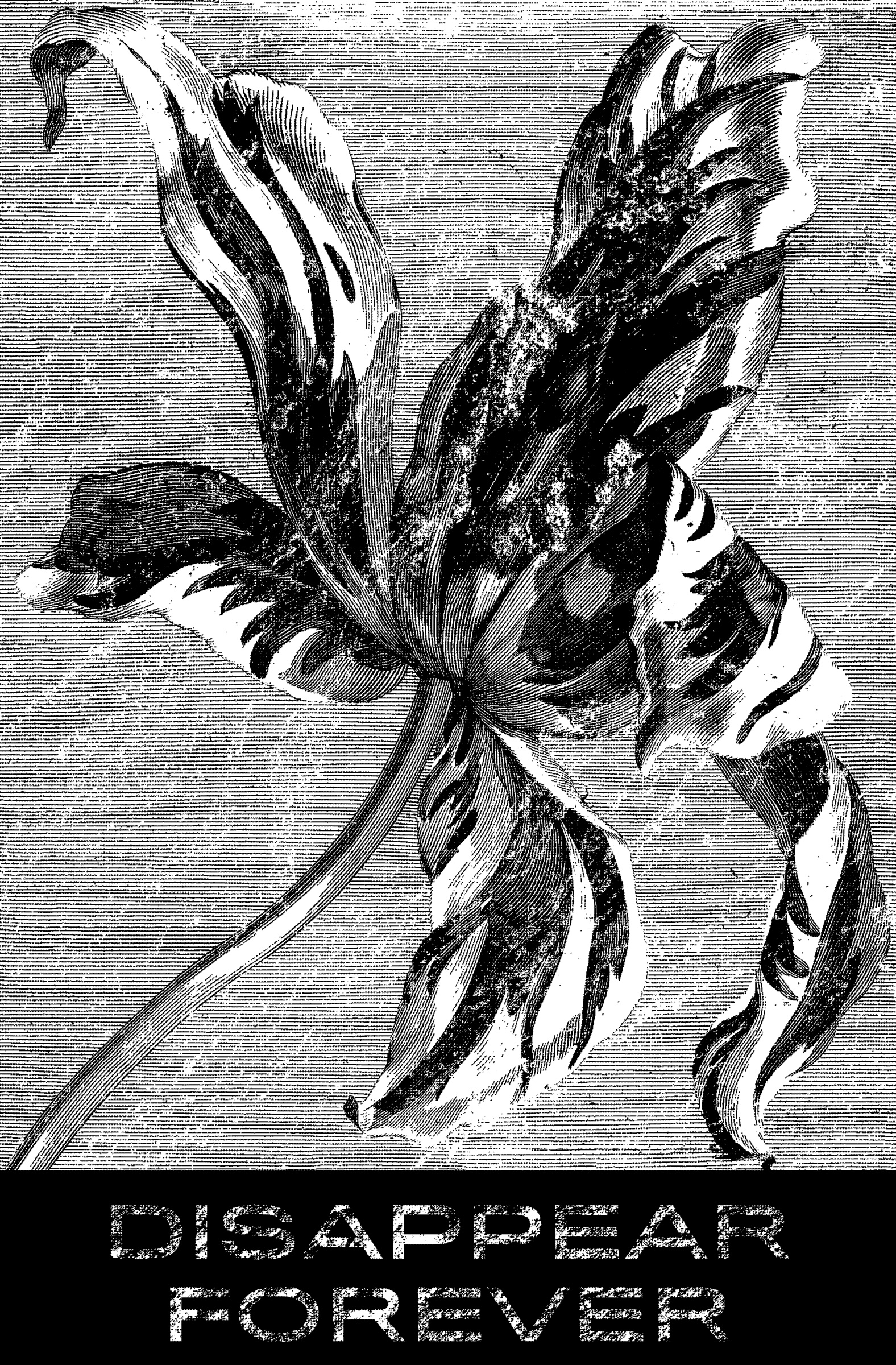 Disappear Forever lily shirt artwork